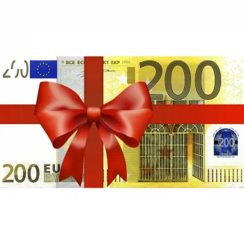 Wollerei Geschenk Gutschein 200 Euro